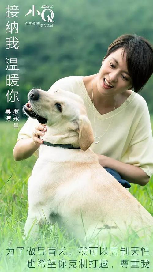 道京医科大学学历认证